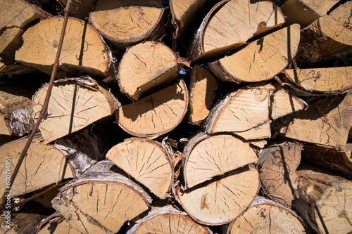 Birch firewood stacked in a woodpile