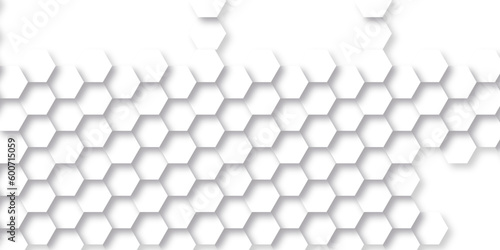  3d Embossed Hexagon honeycomb white Background with geometric hexagon shapes. Hexagonal structure futuristic white background and Embossed Hexagon   honeycomb white Background   light shadow  Vector.