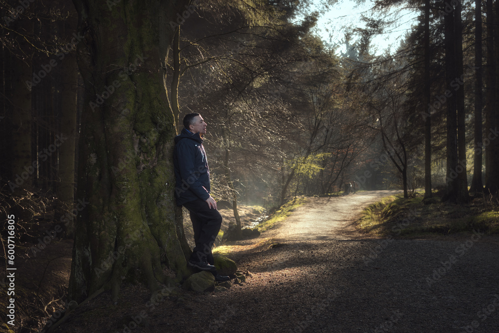 A man resting against a tree in the woods, sunlight shining on the path. Beecraigs Country Park, West Lothian, Scotland A man resting against a tree in the woods, sunlight shining on the path. Beecraigs Country Park, West Lothian, Scotland