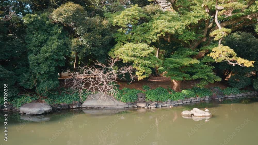 Hamarikyu Gardens is a natural park area in Shiodome District in Tokyo, Japan Hamarikyu Gardens is a natural park area in Shiodome District in Tokyo, Japan