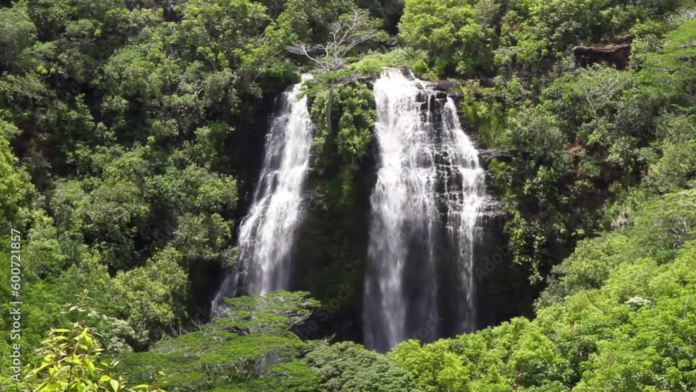 Lockdown Shot Of Waterfall From Rocks Amidst Green Plants And Trees In Forest On Sunny Day - Kauai, Hawaii Lockdown Shot Of Waterfall From Rocks Amidst Green Plants And Trees In Forest On Sunny Day - Kauai, Hawaii