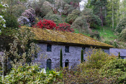 views around a gorgeous UK garden in spirng time photo