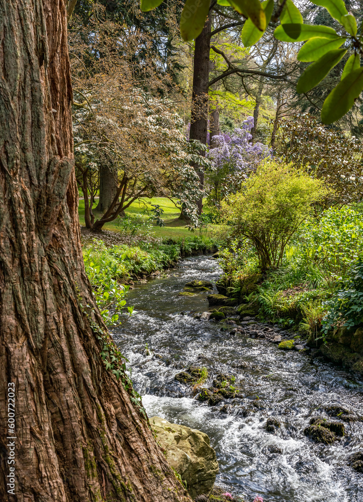 views around a gorgeous UK garden in spirng time views around a gorgeous UK garden in spirng time