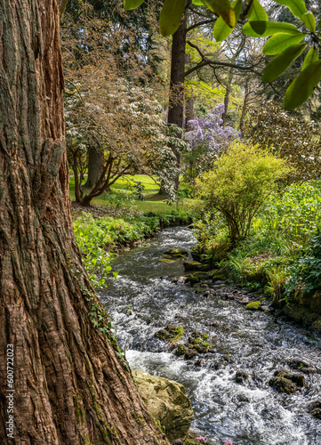 views around a gorgeous UK garden in spirng time