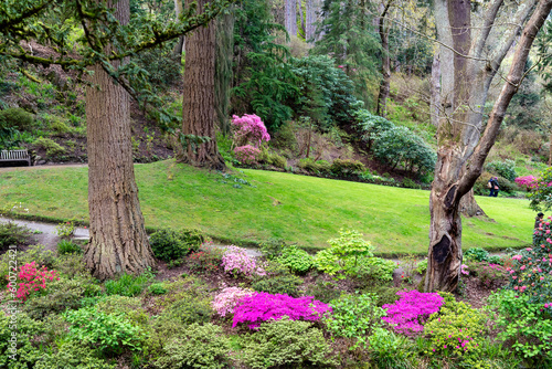 Fototapeta Naklejka Na Ścianę i Meble -  views around a gorgeous UK garden in spirng time