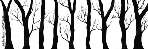 Silhouettes of trees, tree trunks and branches isolated on white background, natural background, banner