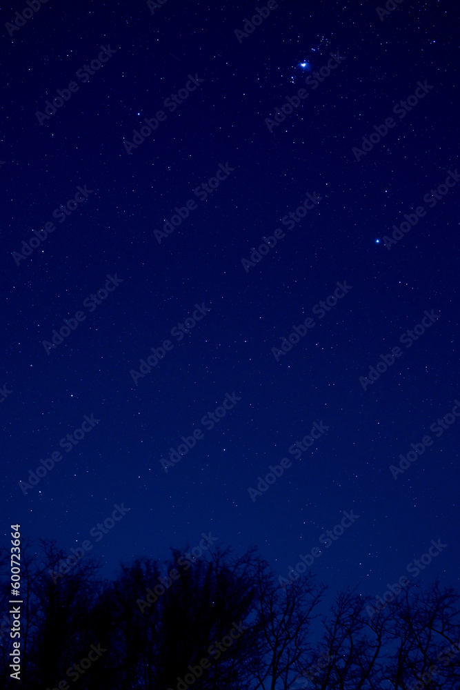 Orion constellation and countryside silhouettes.