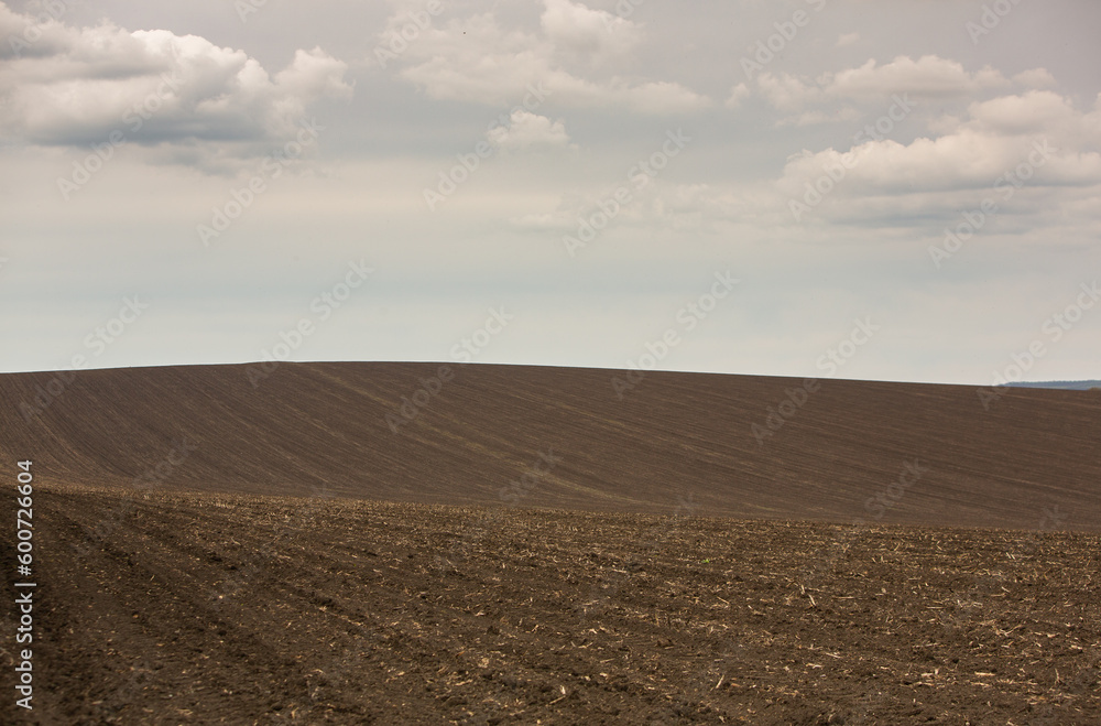 Plowed field in spring, ready for sowing. Agricultural landscape. Arable land ready for sowing crops