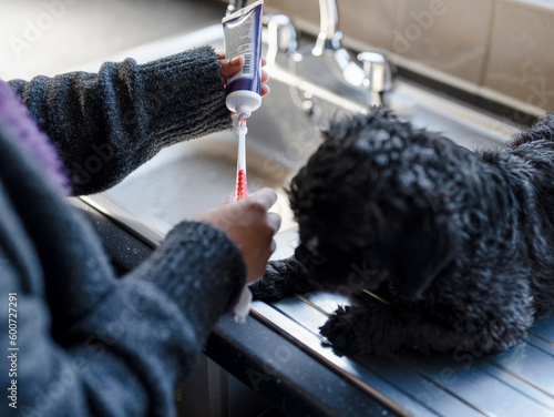 Woman applying dog toothpaste to brush © Cultura Creative