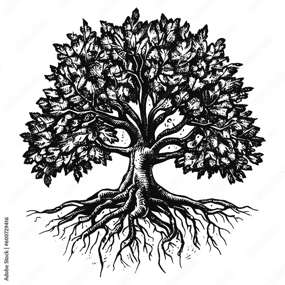 tree with roots vector vintage sketch, tree with spreading roots