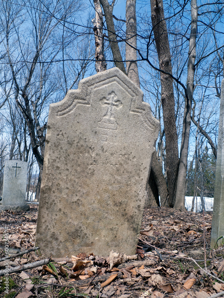 Fototapeta premium cimetière en automne 