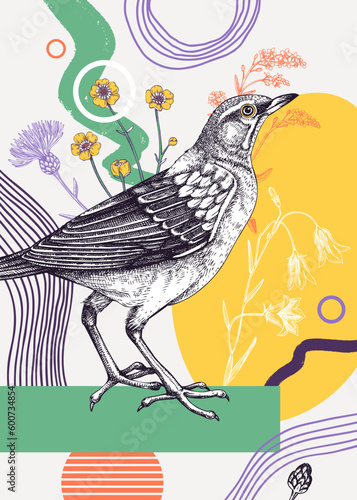 Collage-style bird card. Sketched eyebrowed thrush trendy poster. Creative designs with bird sketch, botanical illustrations, geometric shapes, and abstract element for nature print, wall art, poster