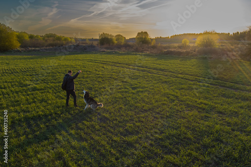 A man plays with a husky dog ​​on the field in the evening with low sun.