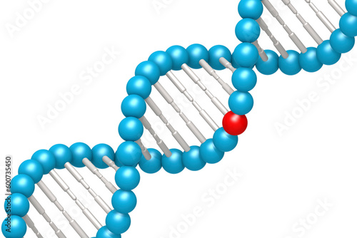 DNA model with blue and red elements