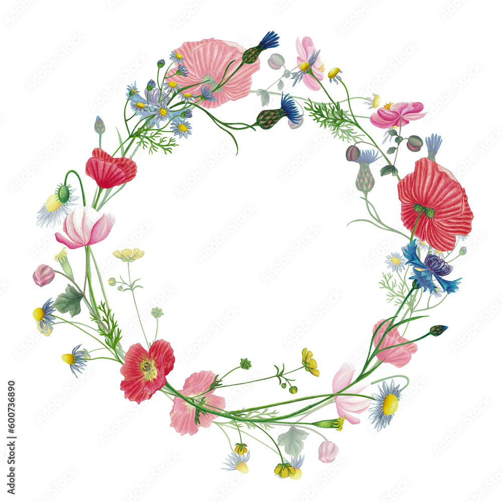 Wild flowers wreath, frame, invitation, greeting card with red poppy, camomile, cornflower, anemone, ranunculus, eryngium flower hand drawn isolated on white.