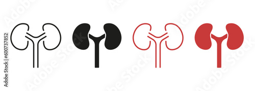 Human Kidney Line and Silhouette Color Icon Set. Anatomy of Renal Organ Pictogram. Kidneys Urology Disease, Dialysis Medical Treatment Symbol Collection. Isolated Vector Illustration