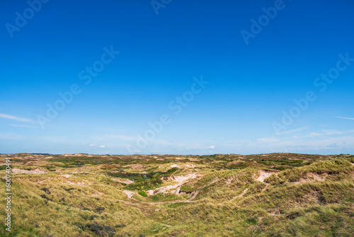 Hiking through the dunes near Egmnd aan Zee NL in spring