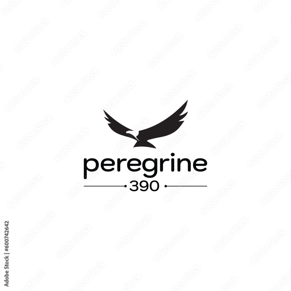Modern and minimalist flying eagle concept logo design for such business. Modern and minimalist flying eagle concept logo design for such business.