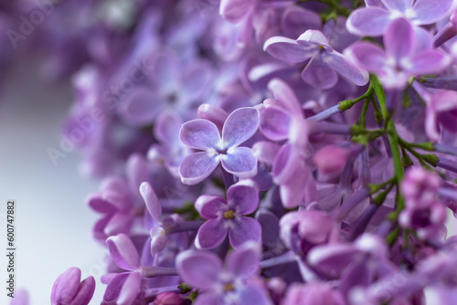 Postcard with purple lilacs. Beautiful spring flowers © Анастасія Мурко