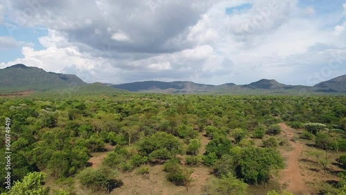 Drone shot of the Ethiopian savanna in Omo valley Bena Tsemay region with mountains and trees photo