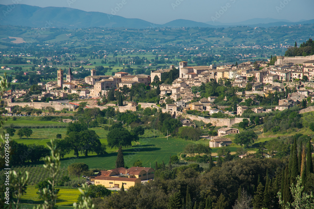 Spello medieval village skyline. Perugia, Umbria, Italy, Europe