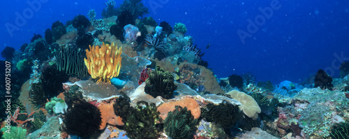 Fototapeta Naklejka Na Ścianę i Meble -  coral underwater flowers seascape abstract texture