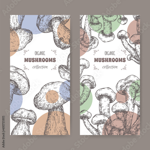 Set of two labels with cyclocybe aegerita aka poplar mushroom anad Boletus edulis aka porcini mushroom sketch.