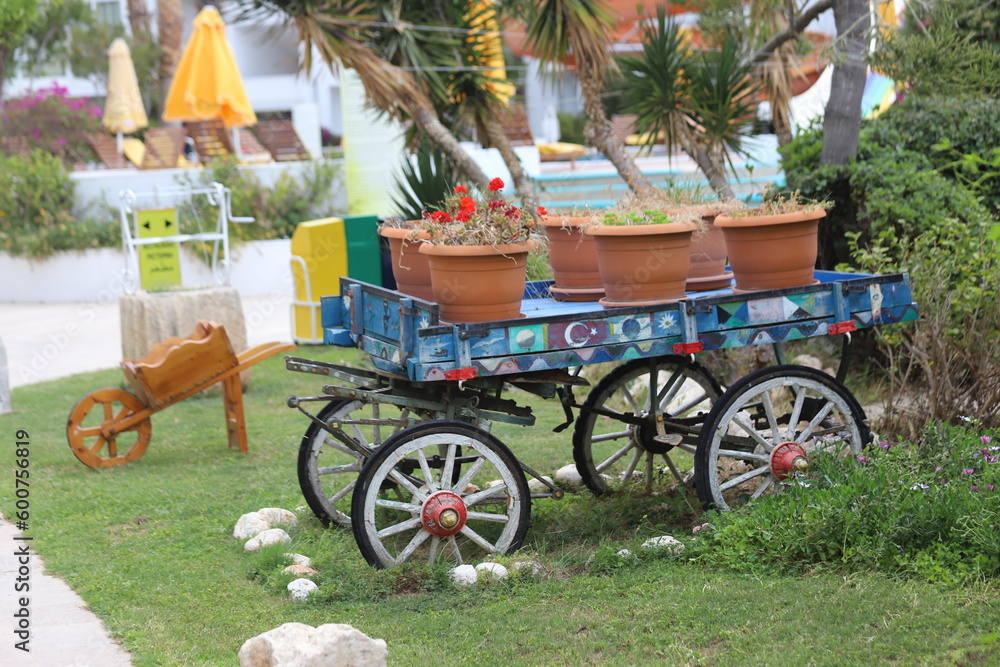 carriage with flowers in the garden