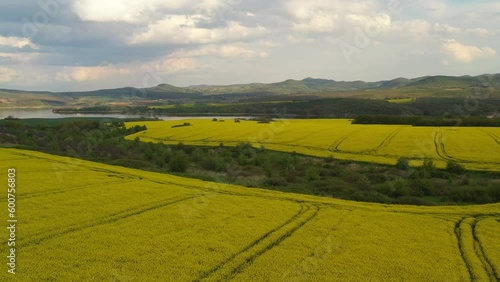 Flight over agricultural level with flowering rapeseed in beautiful Bulgarian nature. Arround Trakiets dam. Agricultural yellow-green landscape from aerial view. photo