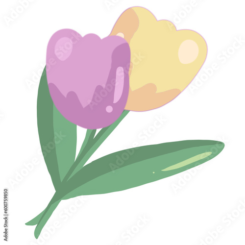 Tree  leaf tulip