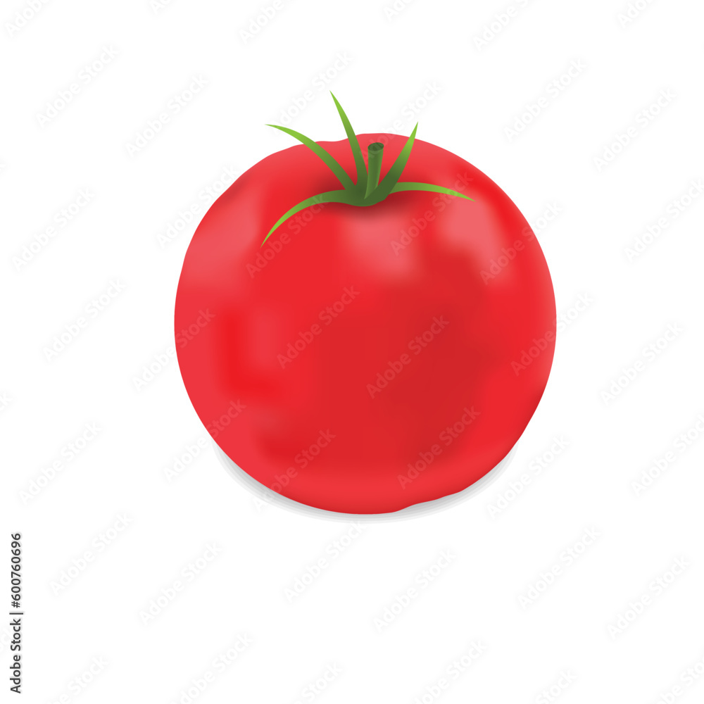 Realistic tomato isolated on a white background Realistic tomato isolated on a white background