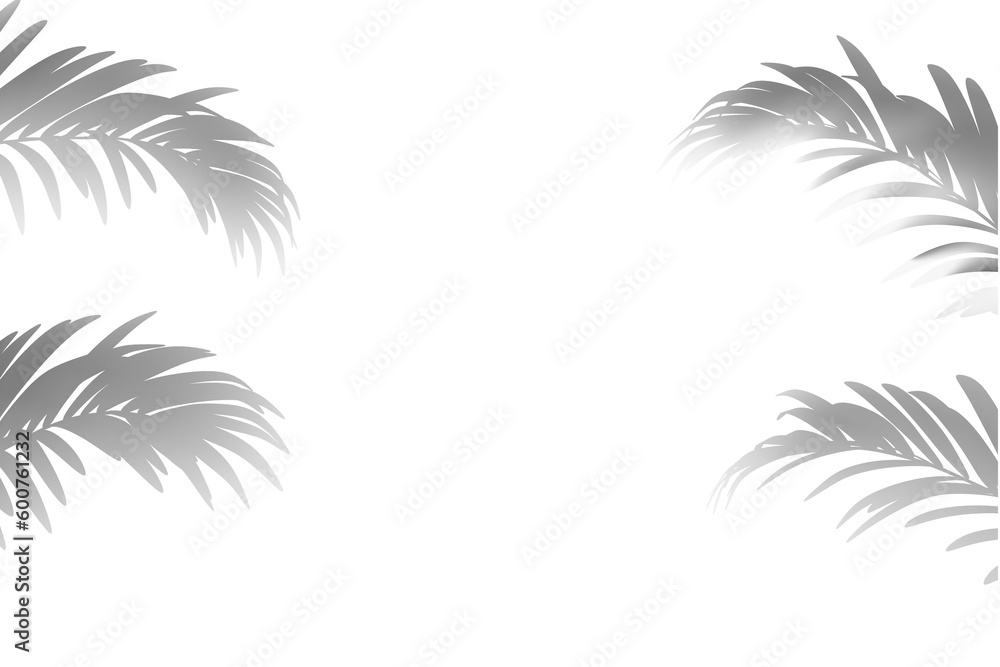 frame from shadows of palm tree leaves. 3D rendering