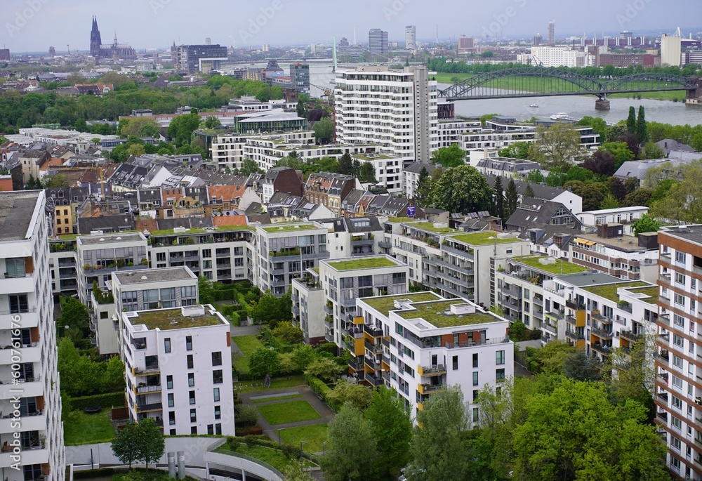 Fototapeta premium Green roofs with succulents and other plants on the roofs of residential buildings in Cologne, North Rhine-Westphalia, Germany.