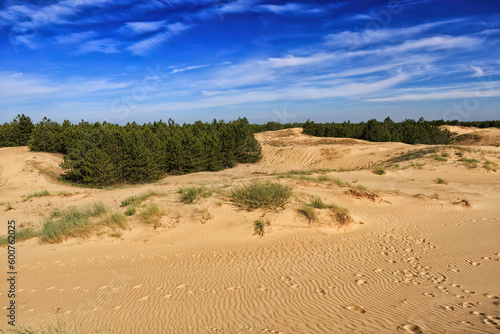 Remote desert landscape with sparse vegetation and white clouds