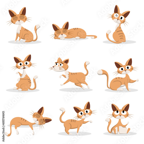 Set of animal with various activity for graphic design vector