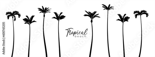 Silhouette palm tree and sunset sky in flat icon design. Vector illustration.