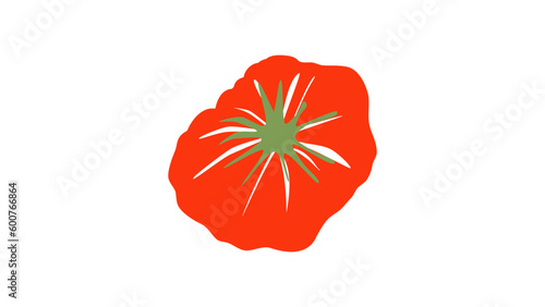 beefsteak tomatoes vector