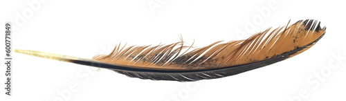 brown feather of a hen on a transparent isolated background. PNG photo