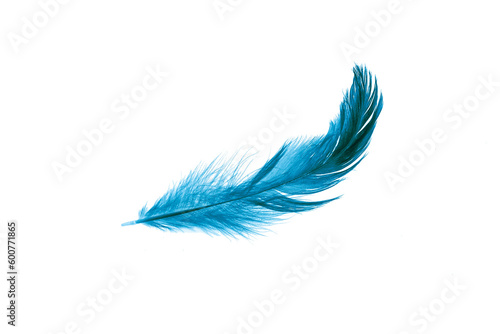 blue feather on a transparent isolated background. png