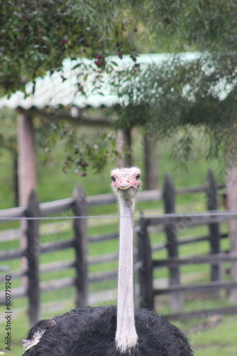 Fotografia animal.
Capturando momento epicos, los cuales muchas veces dejamos pasar por prestar atención a cosas menos importantes. photo