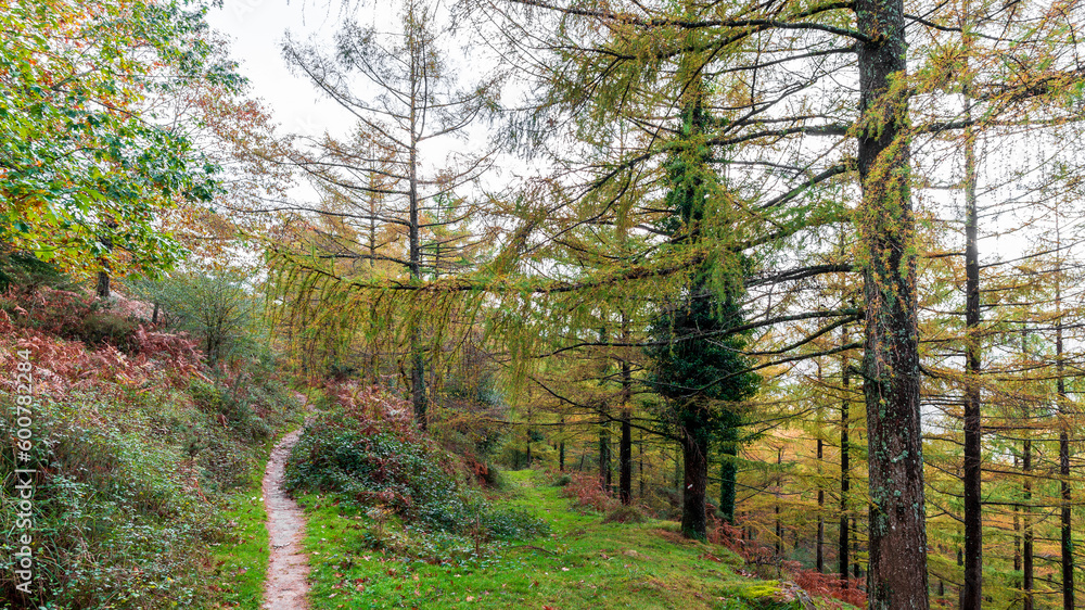 Obraz premium Camins del GR11