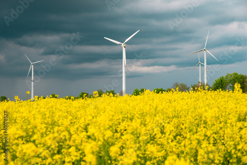 Yellow blooming raps field with windmills, agriculture and renewable sustainable energy, countryside, cultivated farmland © Berit Kessler