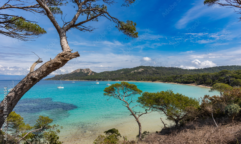 Porquerolles island (l'île de Porquerolles), France. View of the beautiful Notre Dame beach (Plage Notre-Dame).