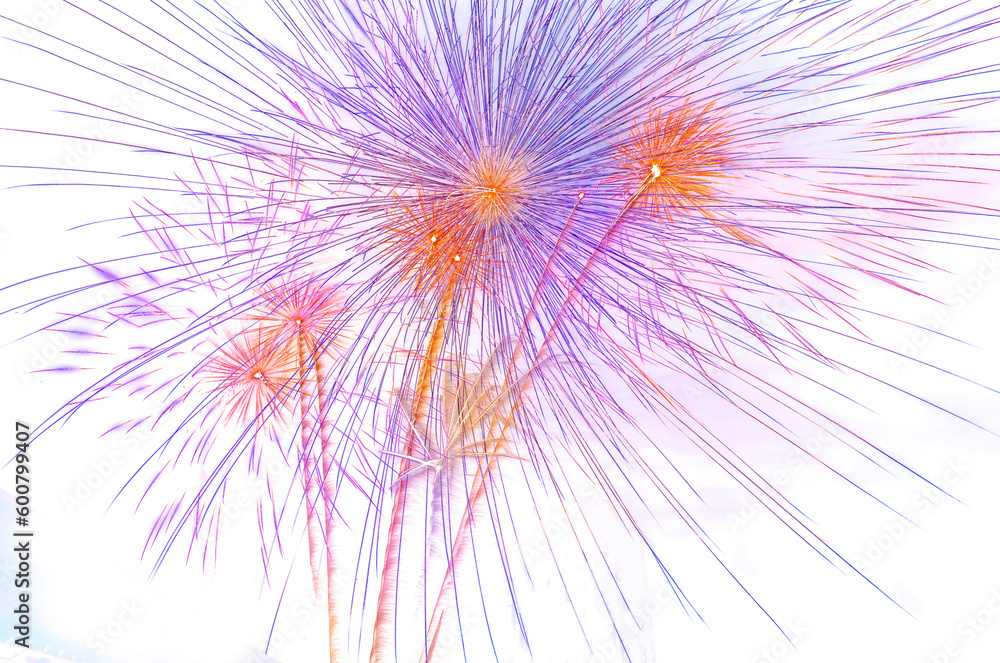 Fototapeta premium blue and violet and red colourful firework display set for celebration happy new year and merry christmas and fireworks on black background