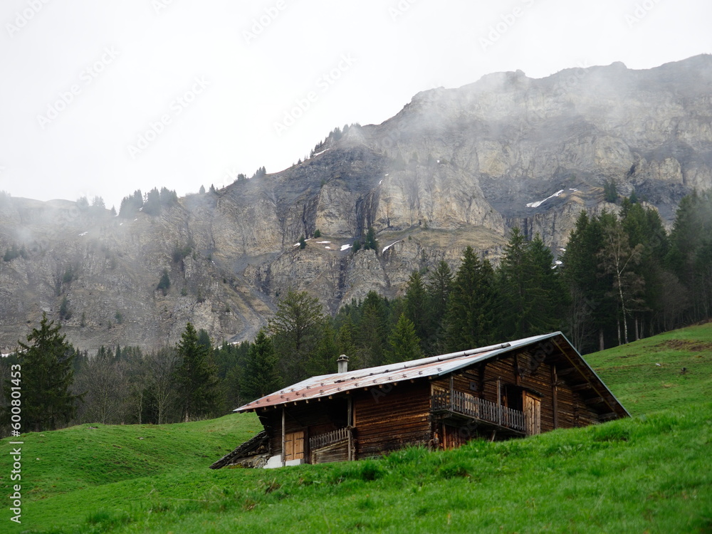 chalet d'alpage dans le massif du beaufortain, sous le rocher de parstire, au milieu des alpages, avec de la brume.