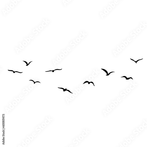 vector silhouette of flying birds © P4ramours