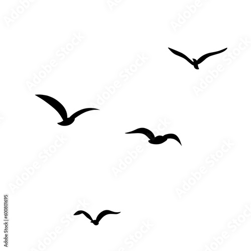 vector silhouette of flying birds © P4ramours