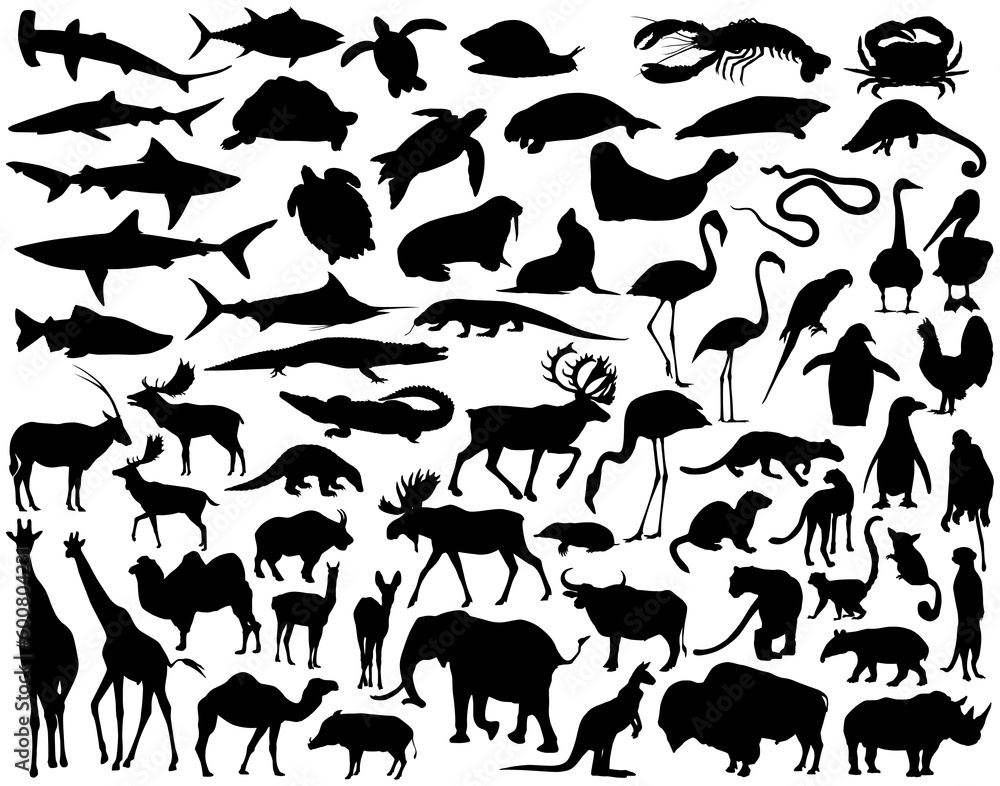 Fototapeta premium Collection of diverse animal vector silhouettes