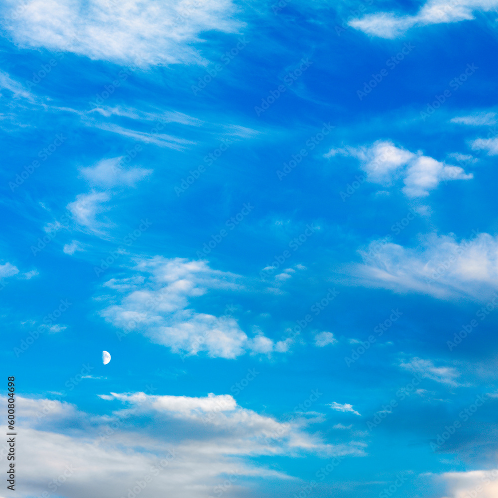 Wispy cloud formations against clear blue sky. Wispy cloud formations against clear blue sky.