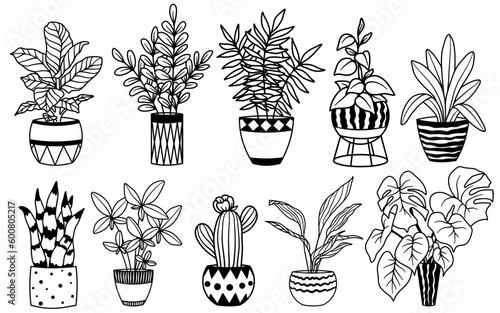 Set of indoor potted plants. Outline vector designs. Hand drawn flowers in pot.